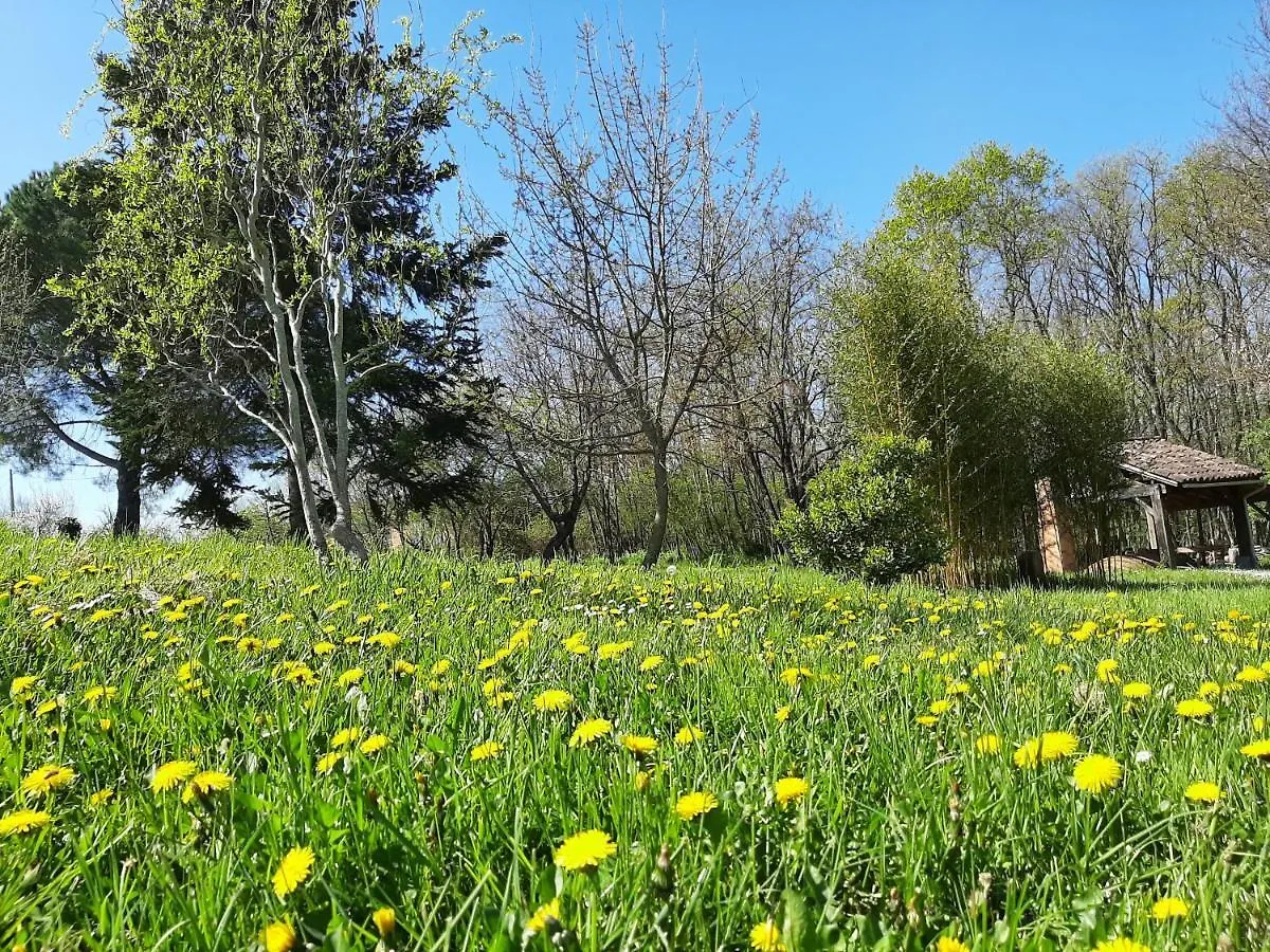 Chambre Soignee Et Accueillante A La Campagne - Ch. Jaune L'Honor-de-Cos Frankreich